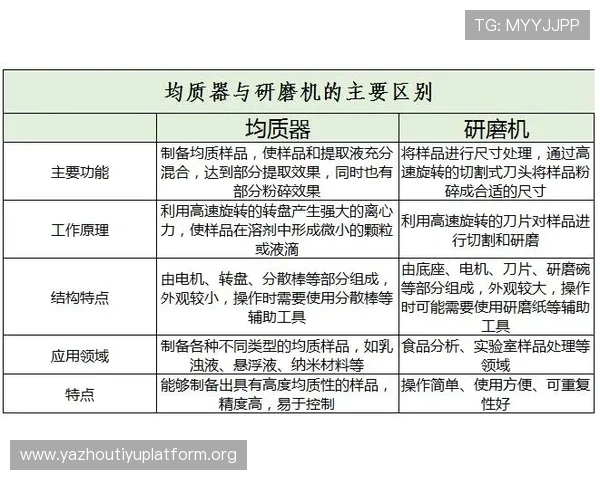 在网上买球的最新趋势与未来发展方向分析以及行业创新动态 在网上买球的最新趋势与未来发展方向分析以及行业创新动态